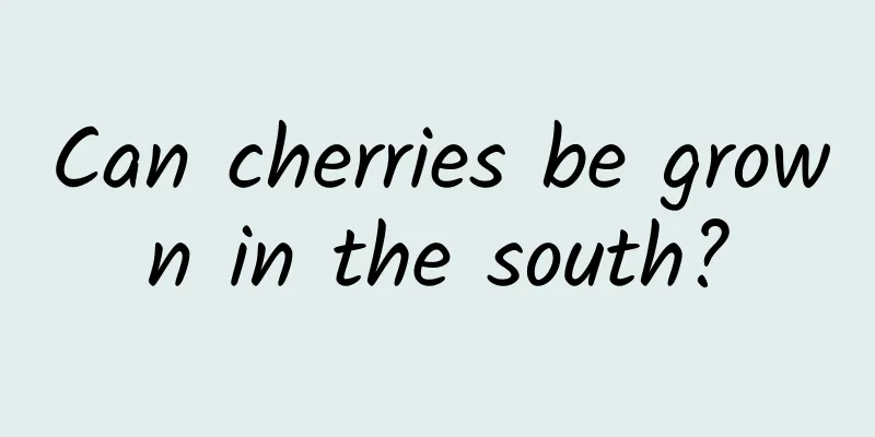 Can cherries be grown in the south?