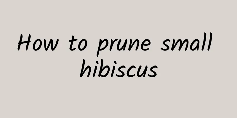How to prune small hibiscus