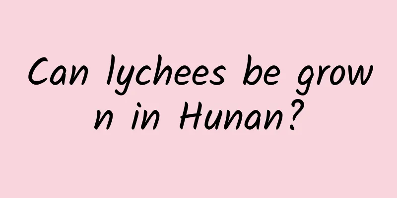 Can lychees be grown in Hunan?