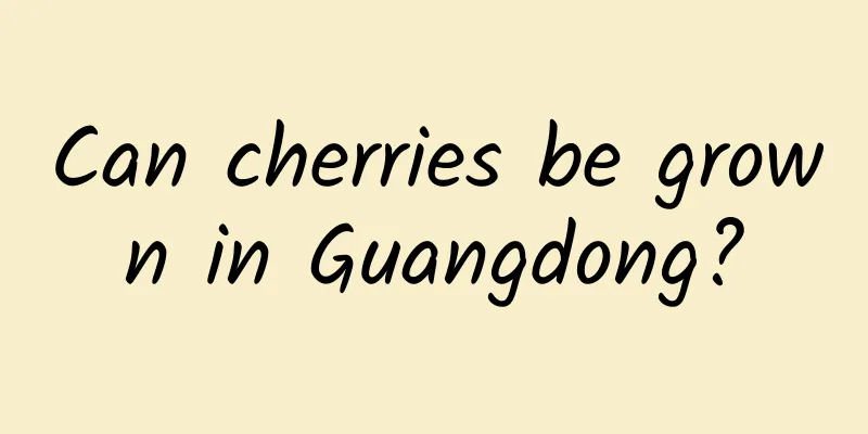 Can cherries be grown in Guangdong?