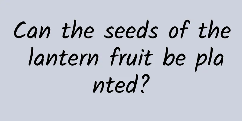 Can the seeds of the lantern fruit be planted?