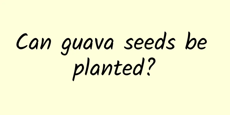 Can guava seeds be planted?
