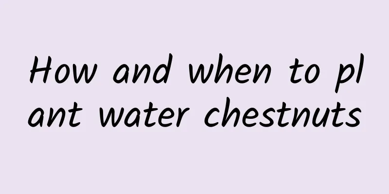 How and when to plant water chestnuts