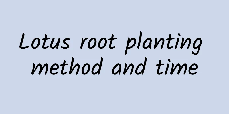 Lotus root planting method and time