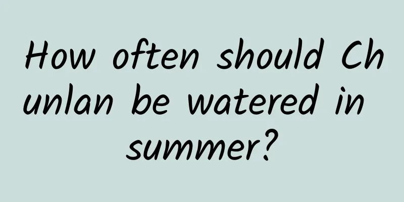 How often should Chunlan be watered in summer?