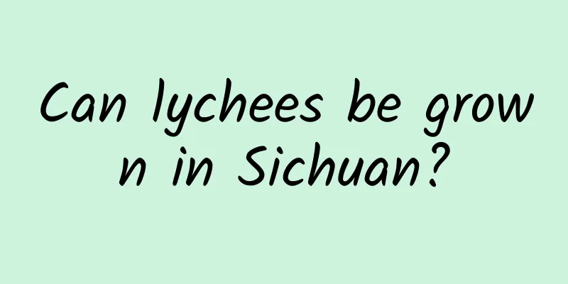 Can lychees be grown in Sichuan?