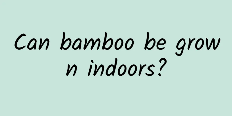 Can bamboo be grown indoors?