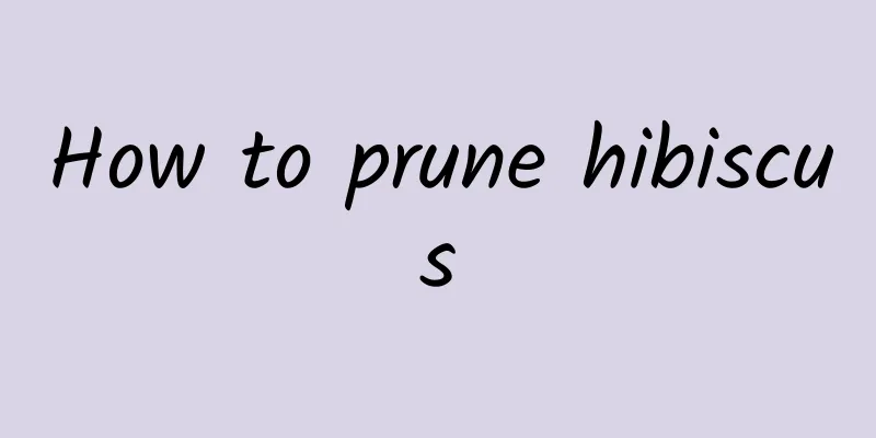 How to prune hibiscus