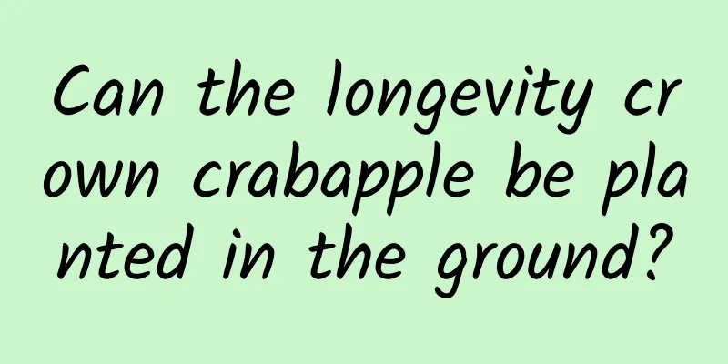 Can the longevity crown crabapple be planted in the ground?