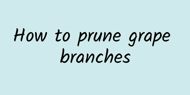 How to prune grape branches