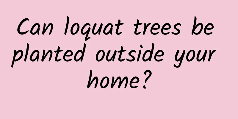 Can loquat trees be planted outside your home?
