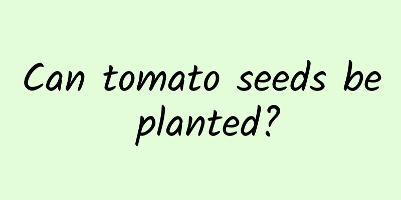 Can tomato seeds be planted?