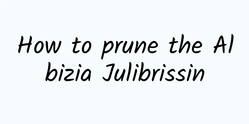 How to prune the Albizia Julibrissin
