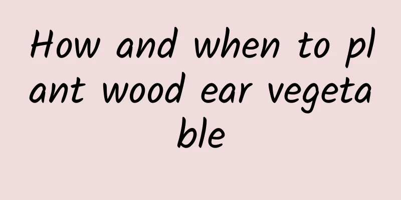 How and when to plant wood ear vegetable