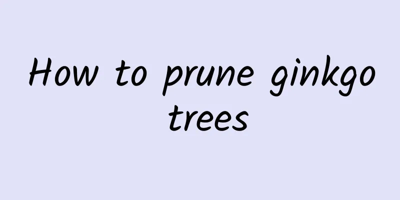 How to prune ginkgo trees