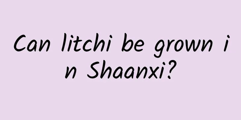 Can litchi be grown in Shaanxi?