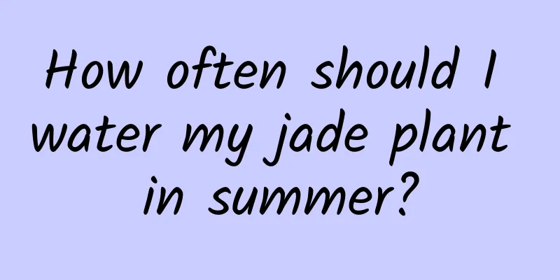How often should I water my jade plant in summer?