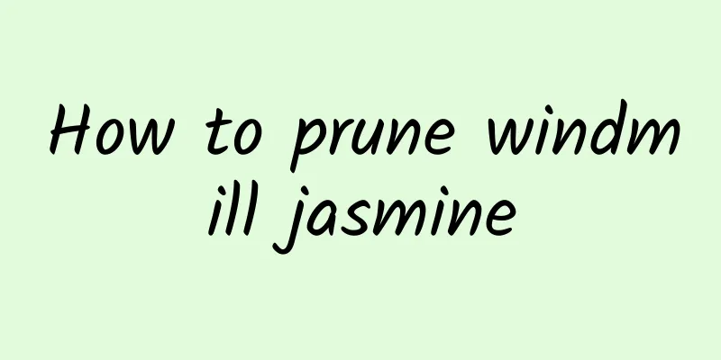 How to prune windmill jasmine