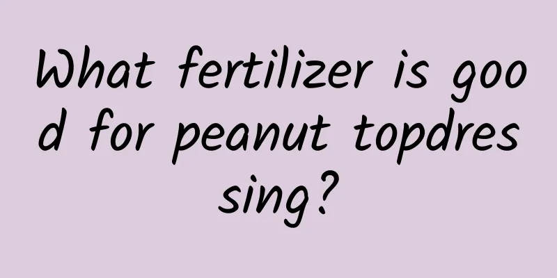 What fertilizer is good for peanut topdressing?