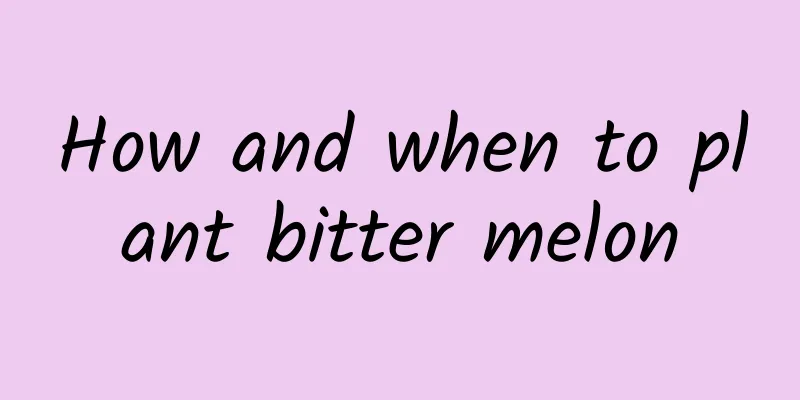 How and when to plant bitter melon