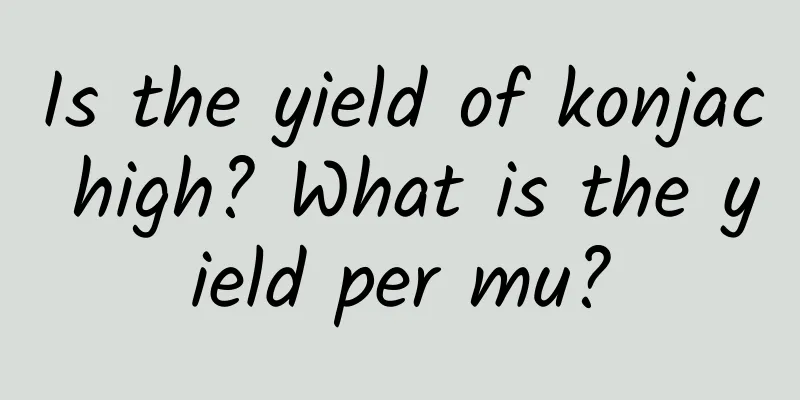 Is the yield of konjac high? What is the yield per mu?
