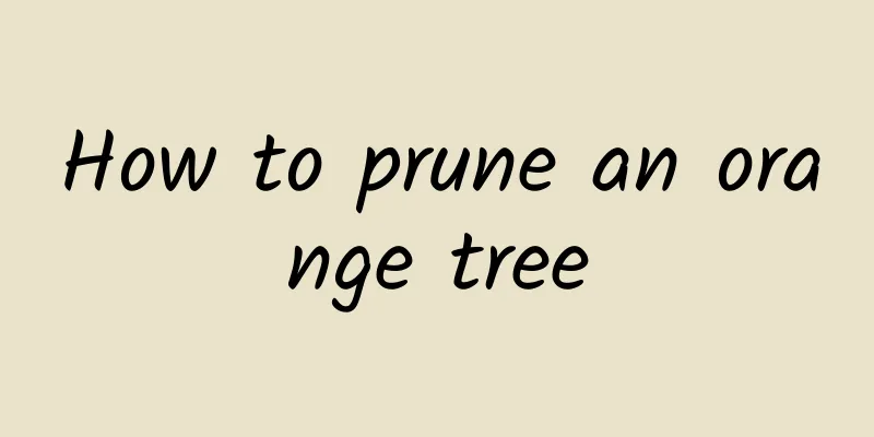 How to prune an orange tree