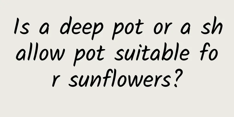 Is a deep pot or a shallow pot suitable for sunflowers?