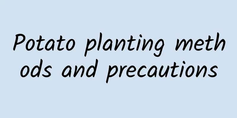 Potato planting methods and precautions