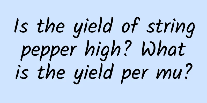 Is the yield of string pepper high? What is the yield per mu?