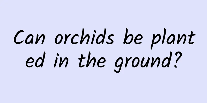 Can orchids be planted in the ground?