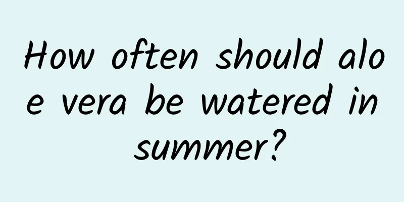 How often should aloe vera be watered in summer?