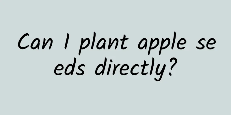 Can I plant apple seeds directly?