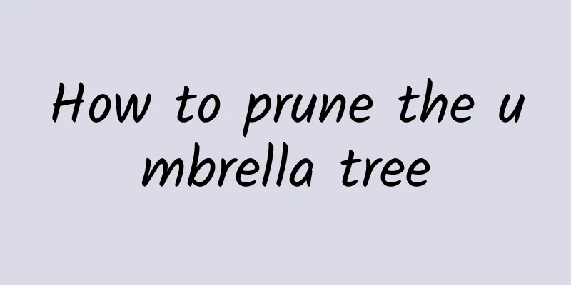 How to prune the umbrella tree