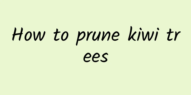 How to prune kiwi trees