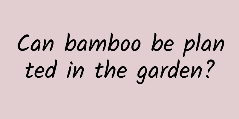 Can bamboo be planted in the garden?