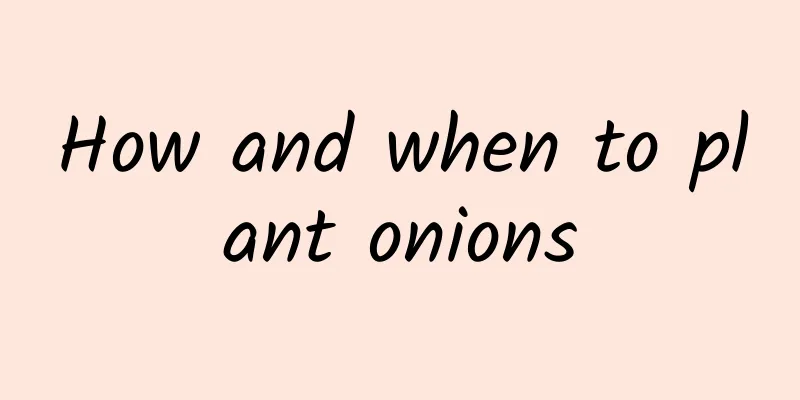 How and when to plant onions