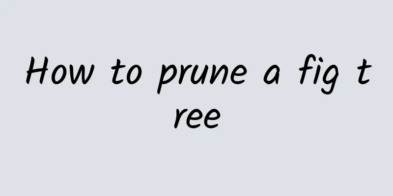 How to prune a fig tree