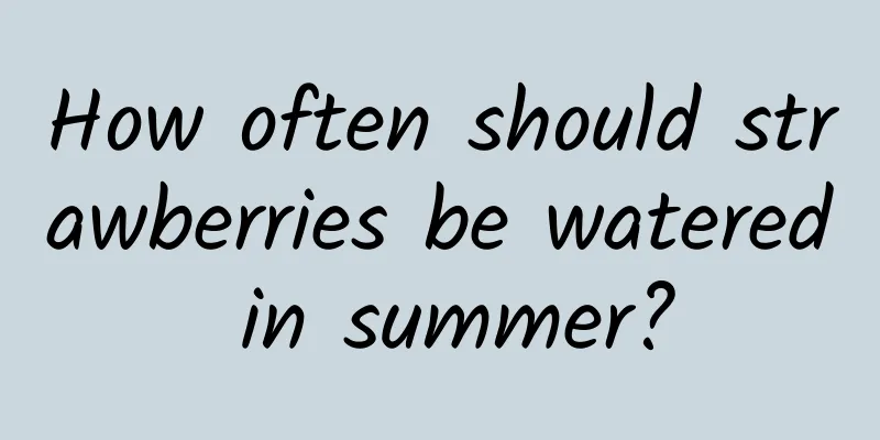 How often should strawberries be watered in summer?
