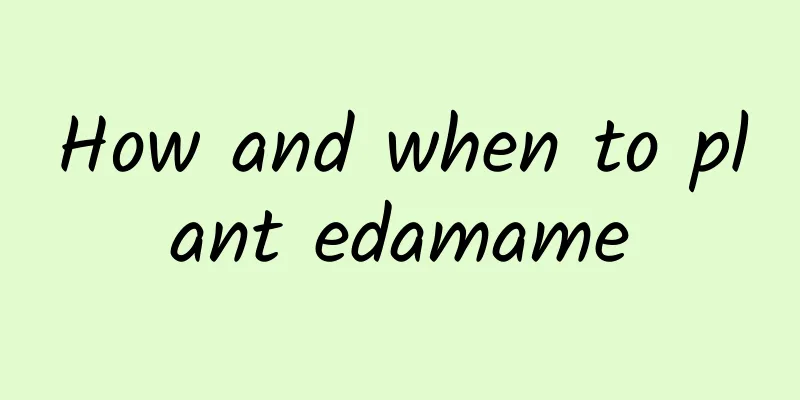 How and when to plant edamame