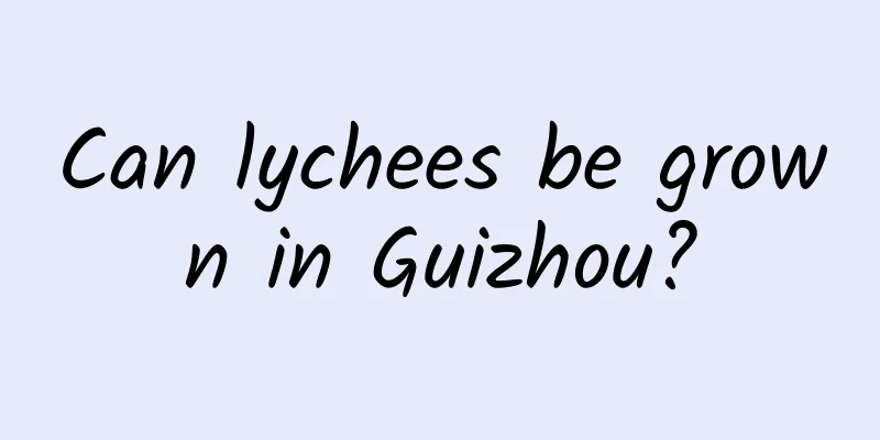 Can lychees be grown in Guizhou?