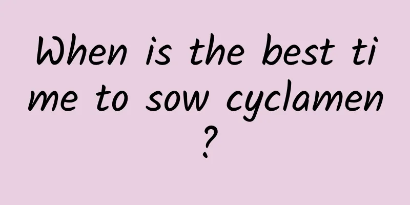 When is the best time to sow cyclamen?