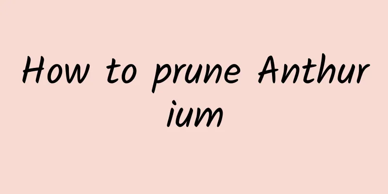 How to prune Anthurium