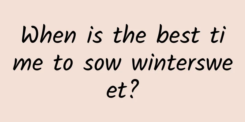 When is the best time to sow wintersweet?