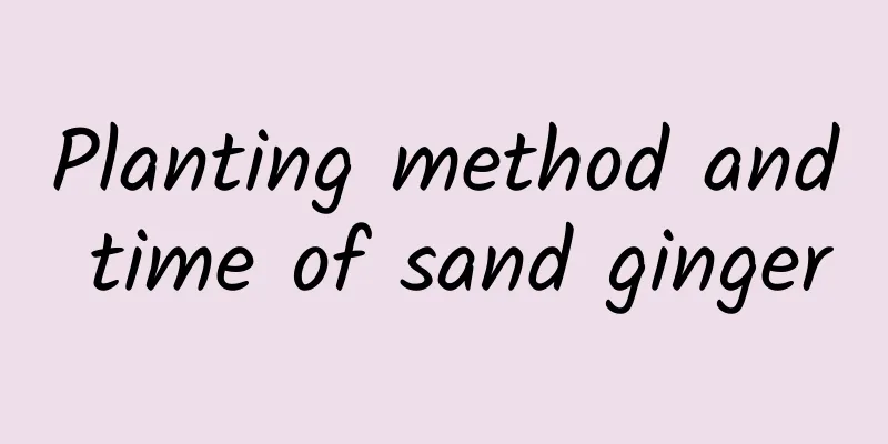 Planting method and time of sand ginger