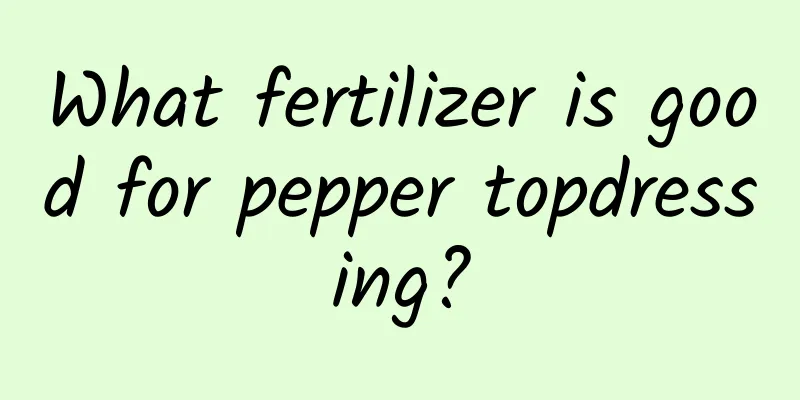 What fertilizer is good for pepper topdressing?
