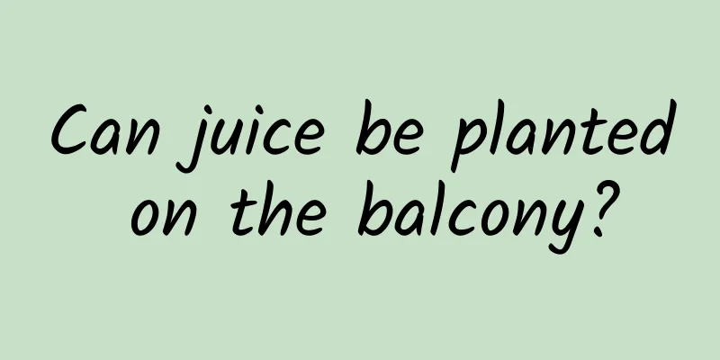 Can juice be planted on the balcony?
