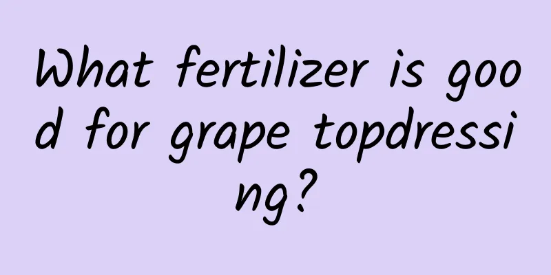 What fertilizer is good for grape topdressing?