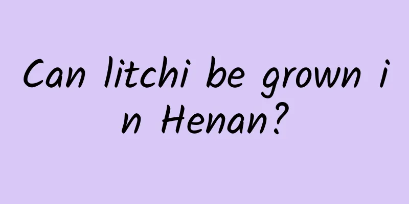 Can litchi be grown in Henan?