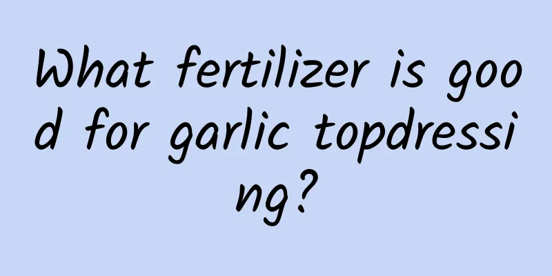 What fertilizer is good for garlic topdressing?