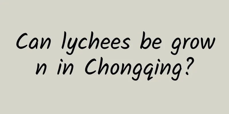 Can lychees be grown in Chongqing?